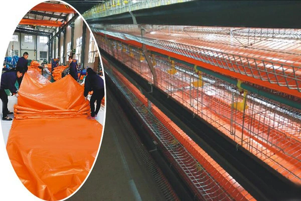 Las mejores aplicaciones de la lona de raza PVC para el ganado