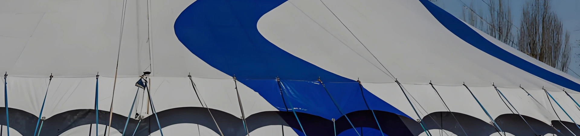 Tela de tienda de PVC