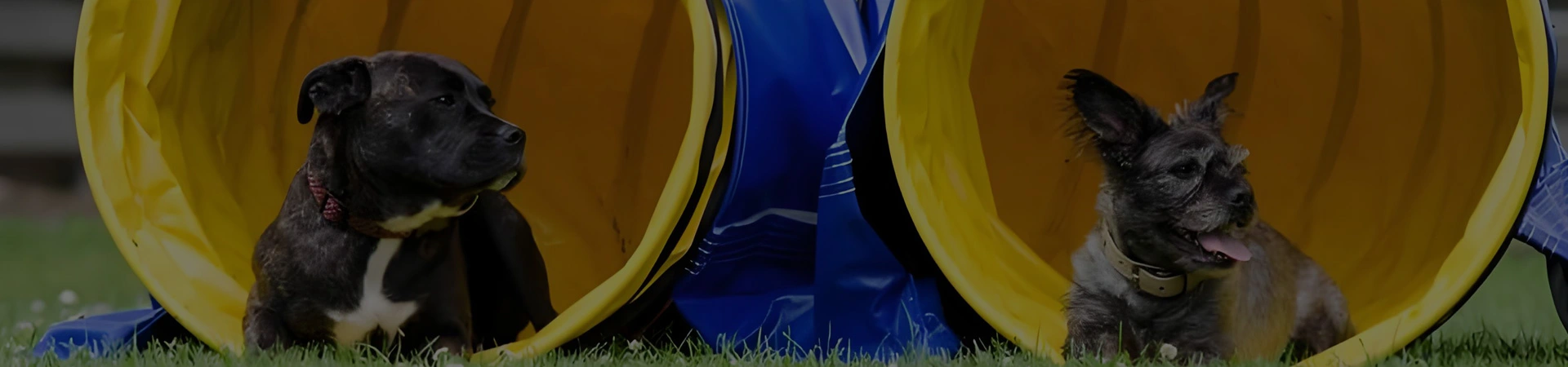 PVC Material deportivo