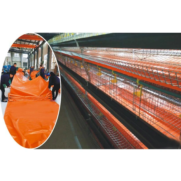 PVC Conveyor Belt