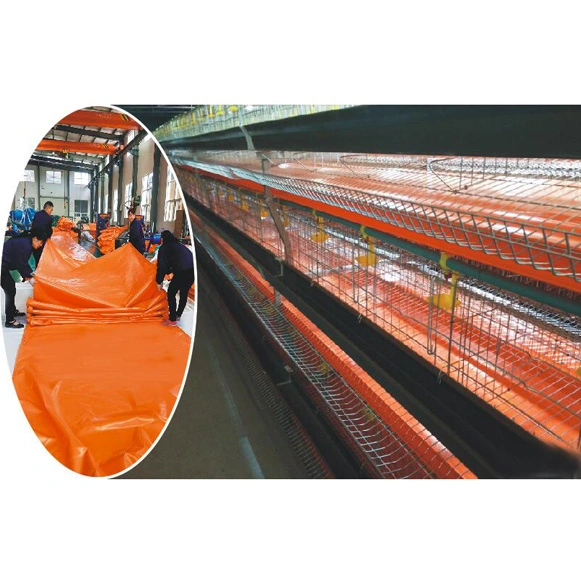 PVC Conveyor Belt Material