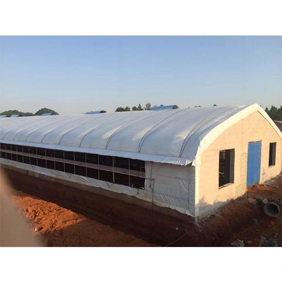 tarp-for-privacy-fence